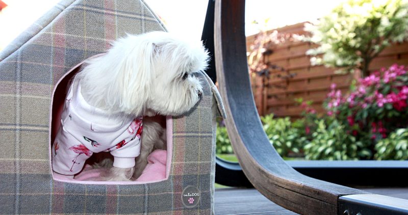 Buda dla psa Dog House Pink Blush