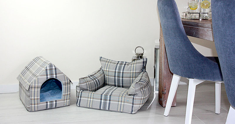 Legowisko Dog House i Fotel Blue Moment